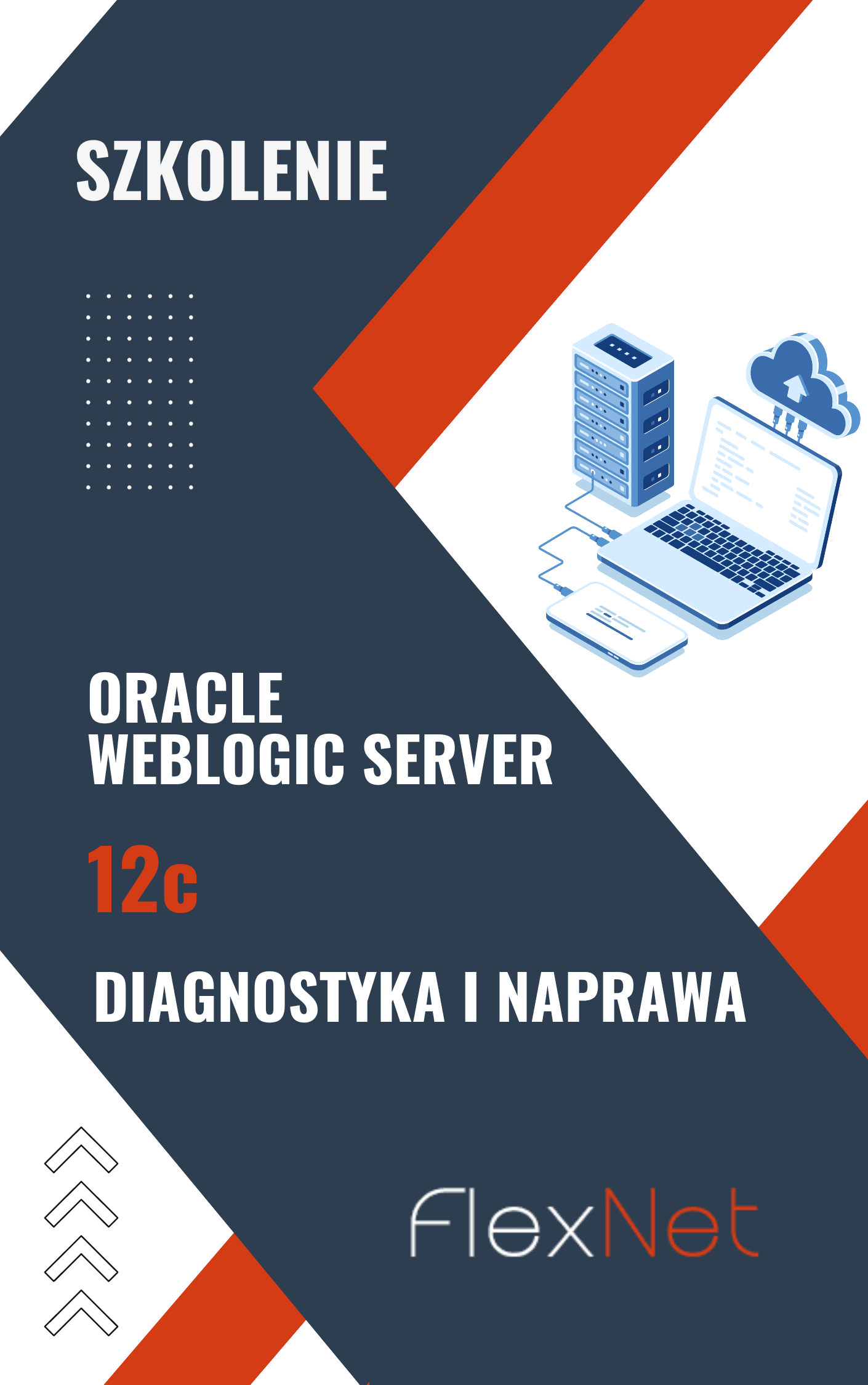 WLS 12c — Diagnostyka